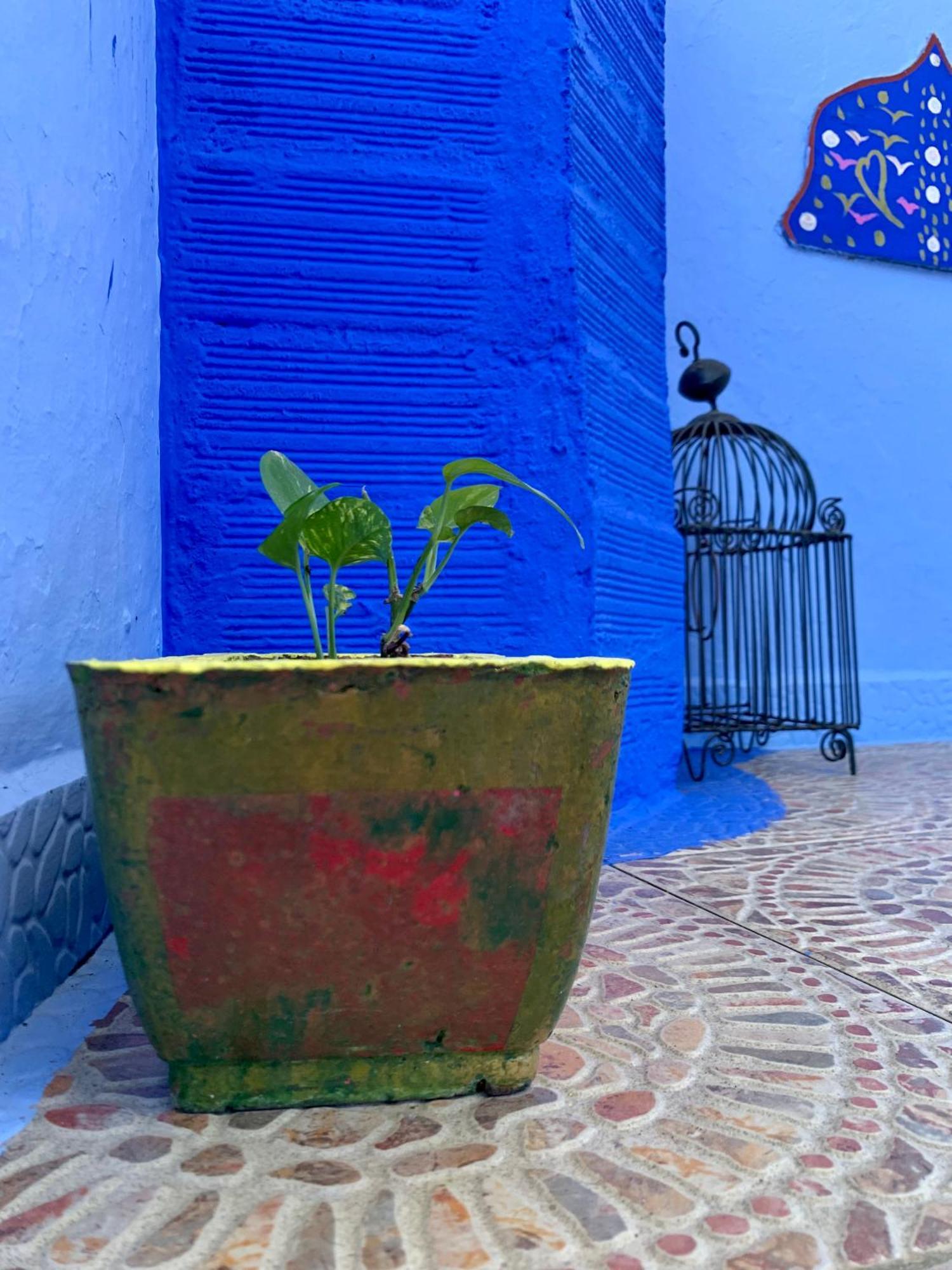 Dar Besmellah Hotel Chefchaouen Eksteriør billede